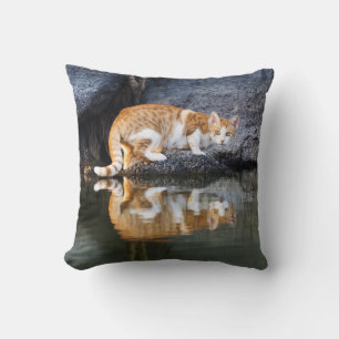 Coussin Réflexion de chats dans l'eau de l'étang Photo a