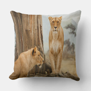 Coussin Règles de responsabilité