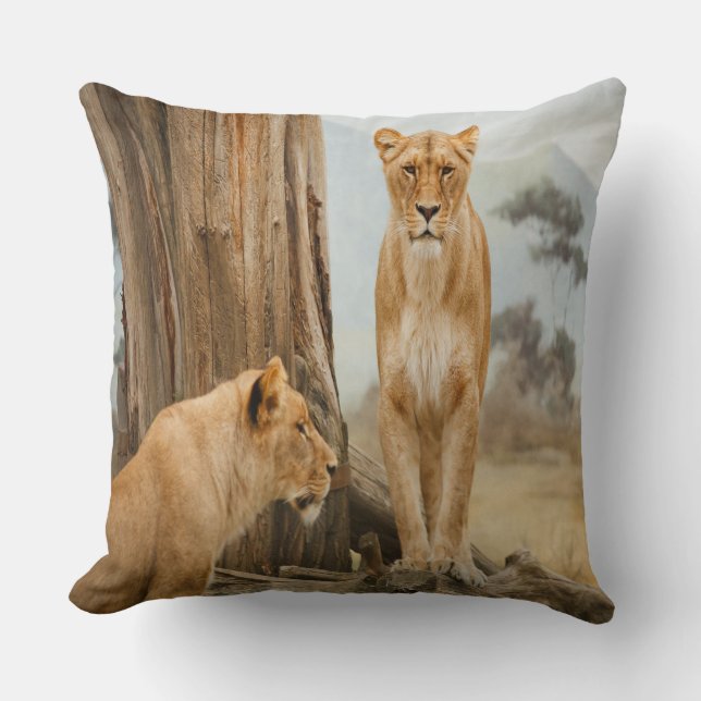 Coussin Règles de responsabilité (Recto)