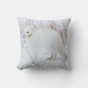 Coussin Renard Arctique