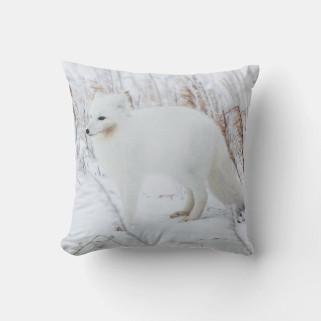 Coussin Renard Arctique (Recto)
