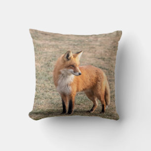 Coussin Renard rouge dans un champ