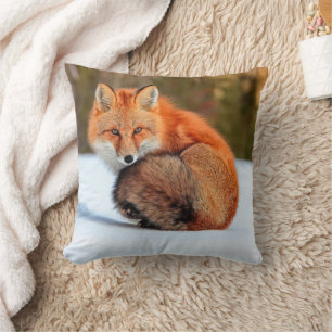 Coussin Renard Rouge En Neige   Yukon