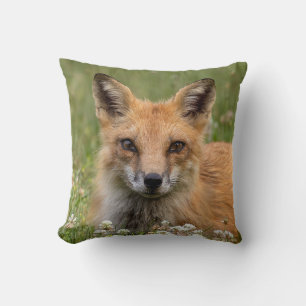 Coussin Renard Rouge Sur Un Lit De Clover