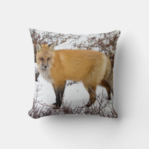 Coussin Renard roux dans la neige en hiver