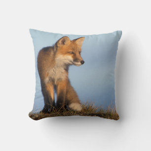 Coussin renard roux, Vulpes vulpes