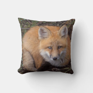 Coussin renard roux, Vulpes vulpes, en couleurs d'automne