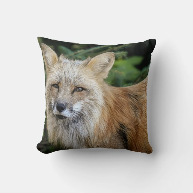 Coussin Renard sauvage (Recto)