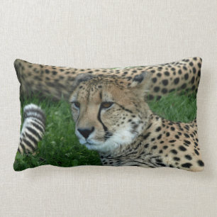Coussin repéré de guépard