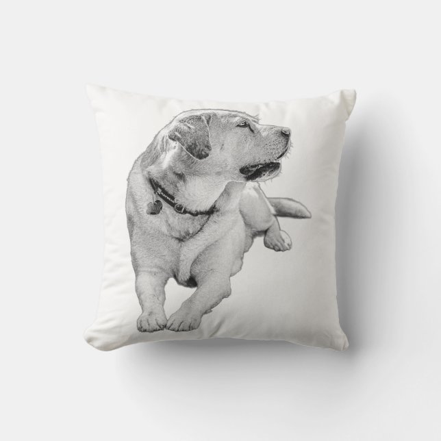 Coussin Repos - Accent Labrador (Recto)