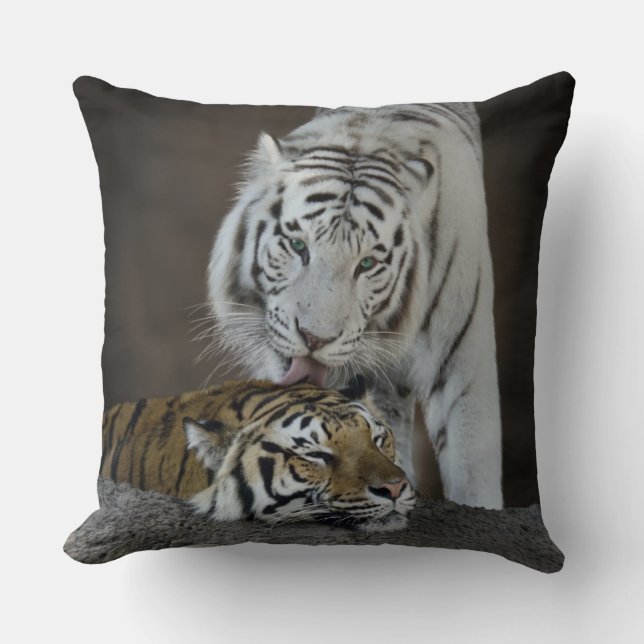 Coussin Repos blanc et Brown de tigres (Recto)