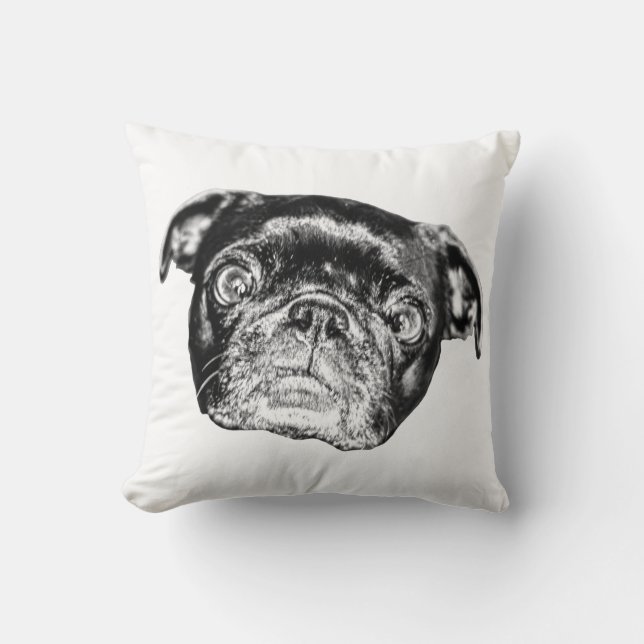 Coussin Repose de Carlin ombré (Recto)