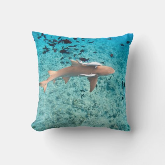 Coussin Requin avec bébés requins (Recto)