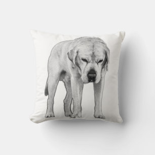 Coussin Résistance à la moite