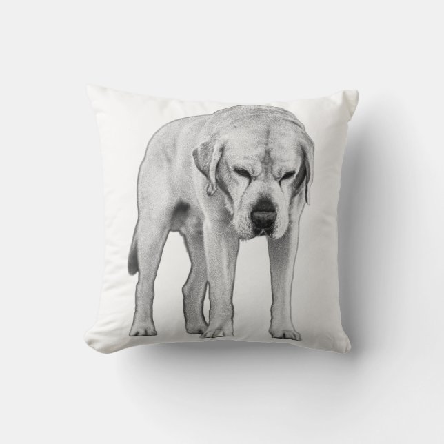 Coussin Résistance à la moite (Recto)