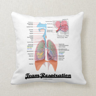 Coussin Respiration d'équipe (appareil respiratoire)