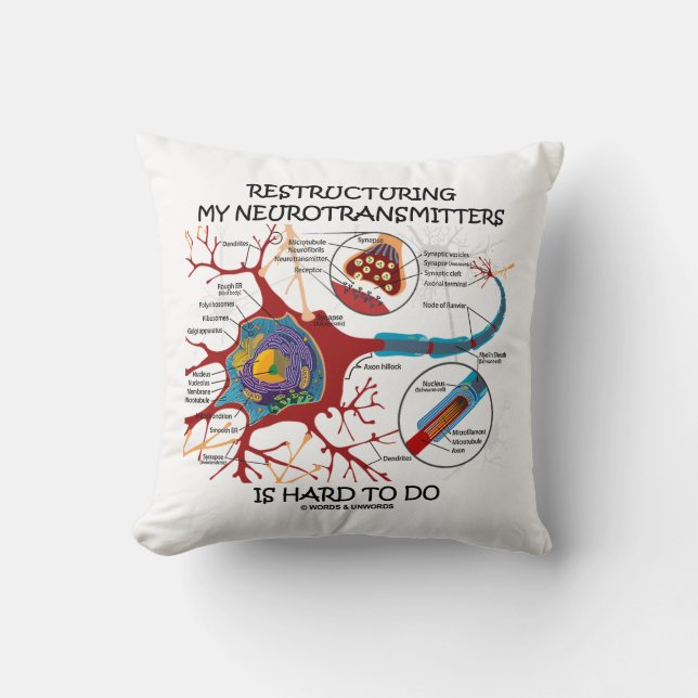 Coussin Restructurer Mes Neurotransmetteurs Est Difficile  (Recto)