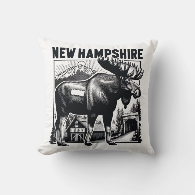 Coussin Retro New Hampshire (Recto)