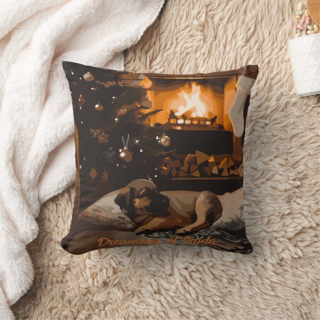 Coussin Rêver de Père Noël (Couverture)