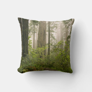 Coussin Rhododendron en fleurs parmi les séquoias à feuill