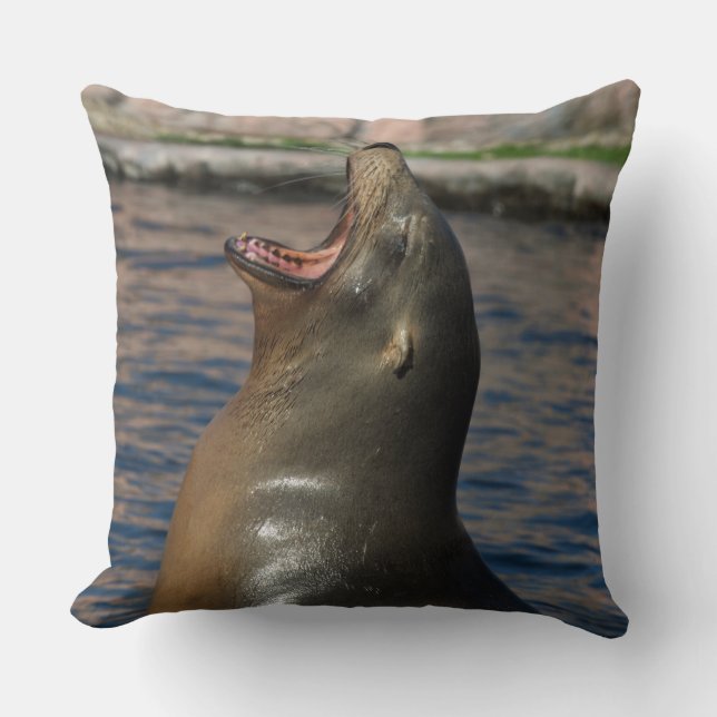 Coussin Rire le phoque (Recto)