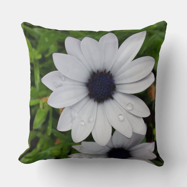 Coussin River on white (Recto)