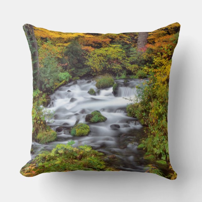 Coussin Rivière à travers la forêt, Automne, Oregon (Recto)