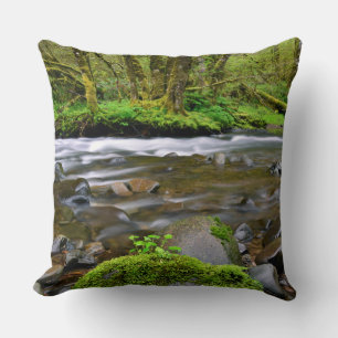 Coussin Rivière dans la forêt verte, Oregon