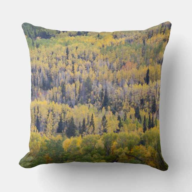 Coussin Rivière Provo et trembles (Recto)