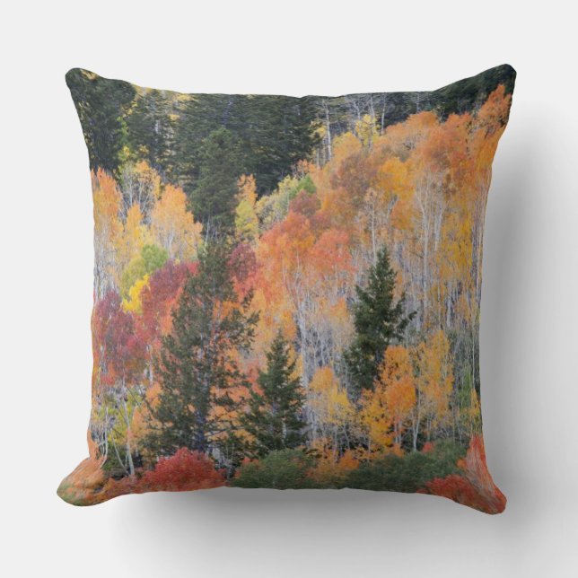 Coussin Rivière Provo et trembles (Recto)