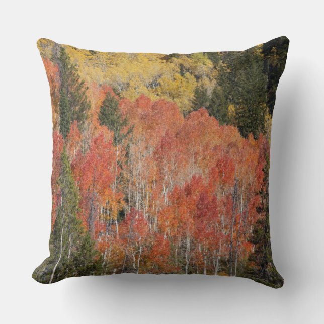 Coussin Rivière Provo et trembles (Recto)