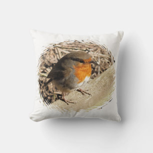 COUSSIN ROBIN