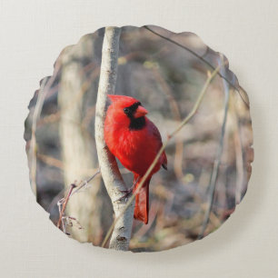 Coussin rond cardinal mignon