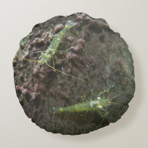 Coussin rond crevettes