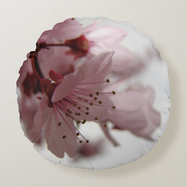 Coussin rond d'art de photo de fleurs roses de (Devant)