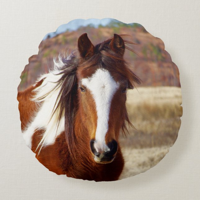 Coussin rond de beau cheval de peinture (Devant)