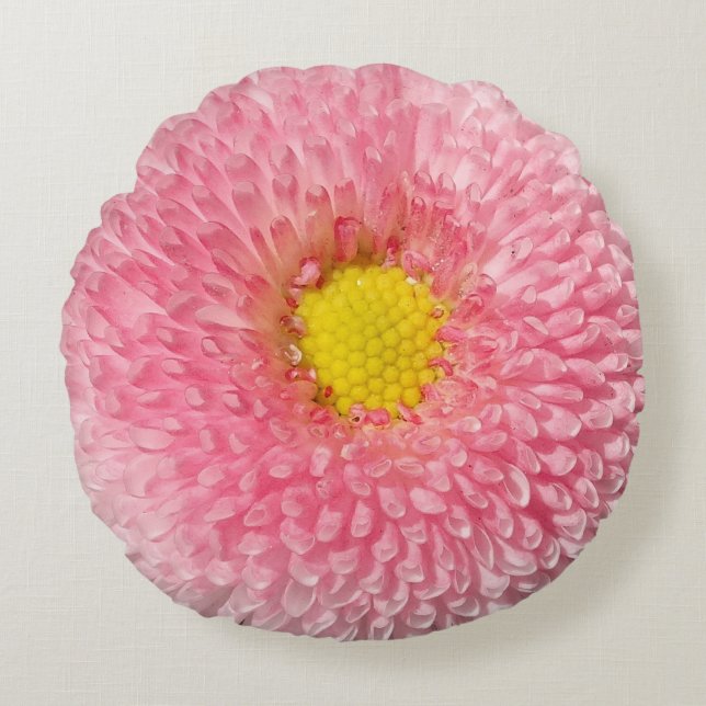 Coussin rond de beauté florale rose de marguerite (Devant)