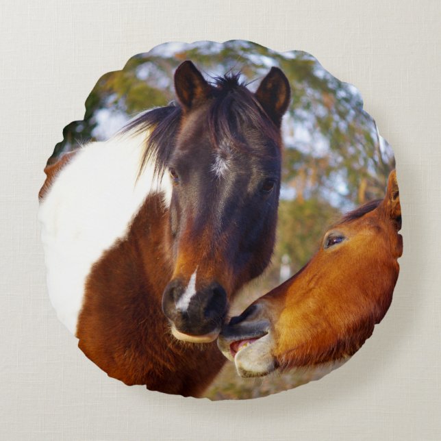 Coussin rond de cheval mignon de peinture (Devant)
