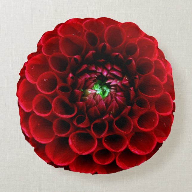 Coussin rond de fleur rouge de dahlia (Devant)