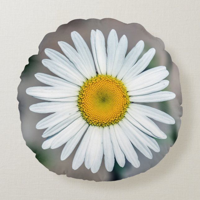 Coussin rond de fleur simple de marguerite (Devant)