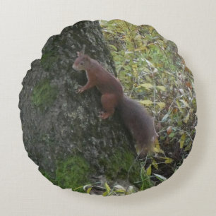 Coussin Rond Écureuil Mignon sur Tronc d'Arbre