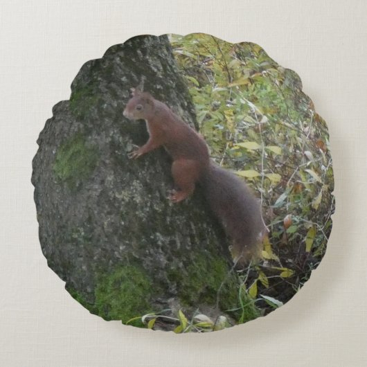 Coussin Rond Écureuil Mignon sur Tronc d'Arbre (Devant)