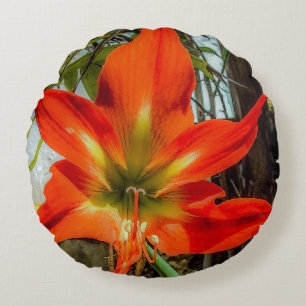 Coussin Rond Gros Plan d'Amaryllis