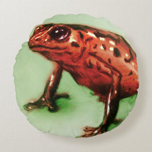 Coussin rond illustré coloré - Grenouille