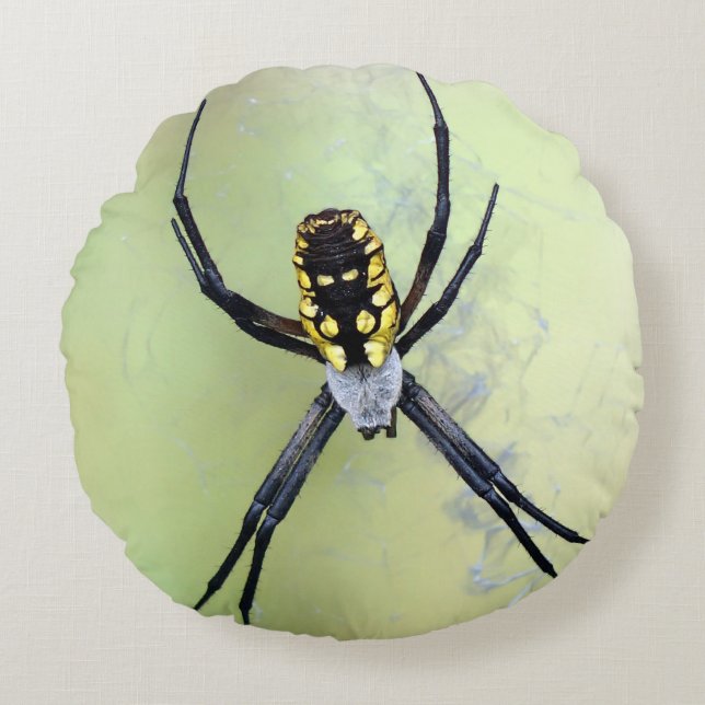 Coussin rond noir et jaune d'araignée de jardin (Devant)