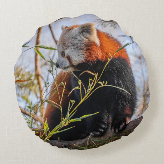 Coussin rond panda rouge (Dos)