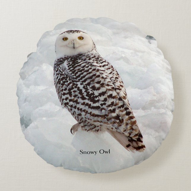 Coussin rond Snowy Owl (Devant)