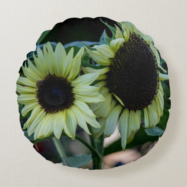 Coussin rond tournesol (Devant)
