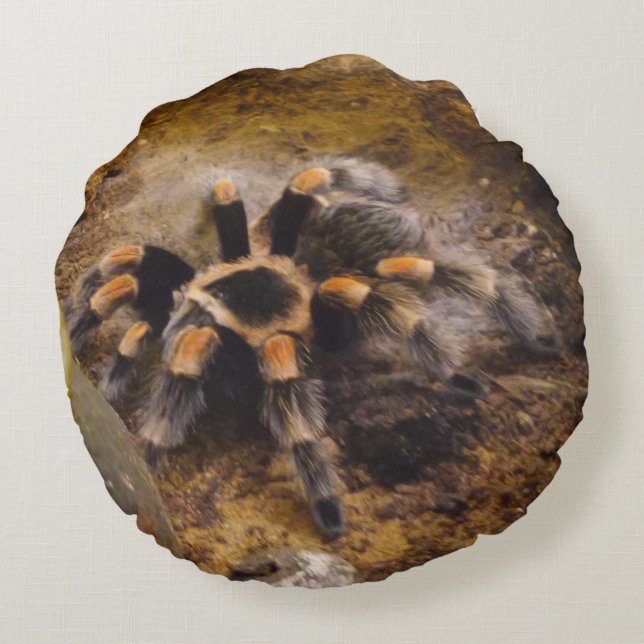 Coussin ronde Tarantula (Dos)