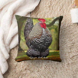 Coussin Rooster de Plymouth Barré